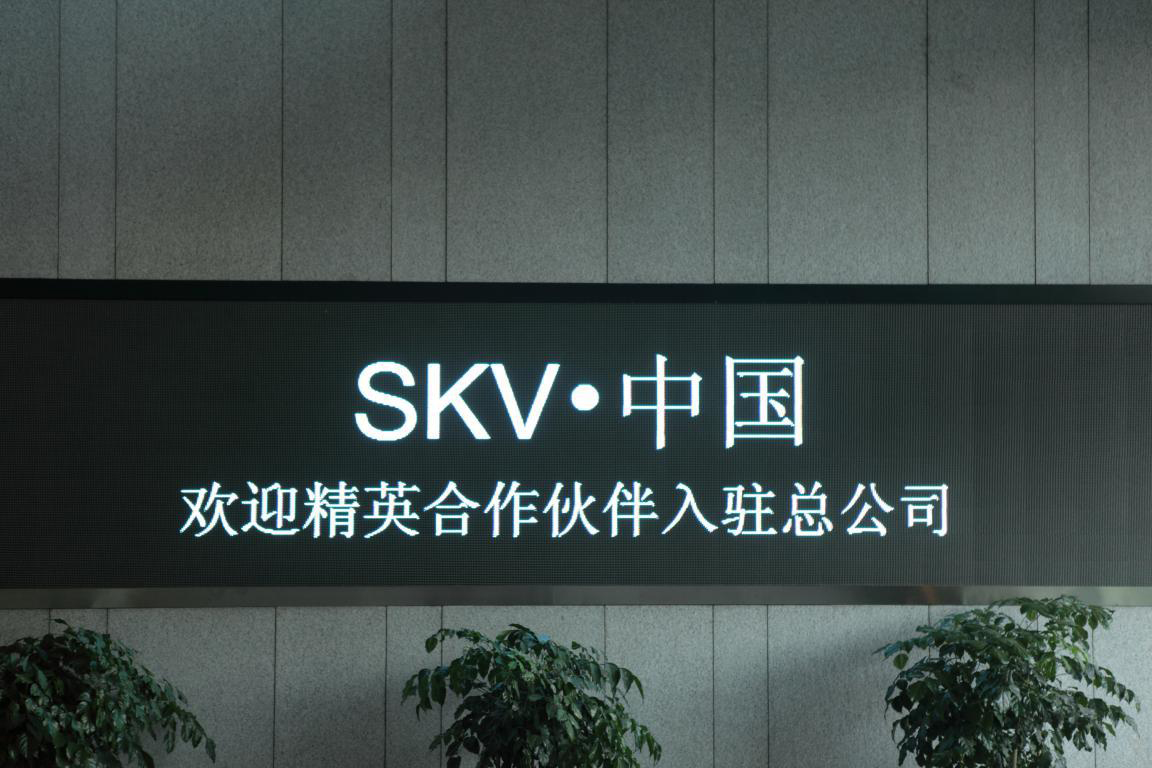 skv中国